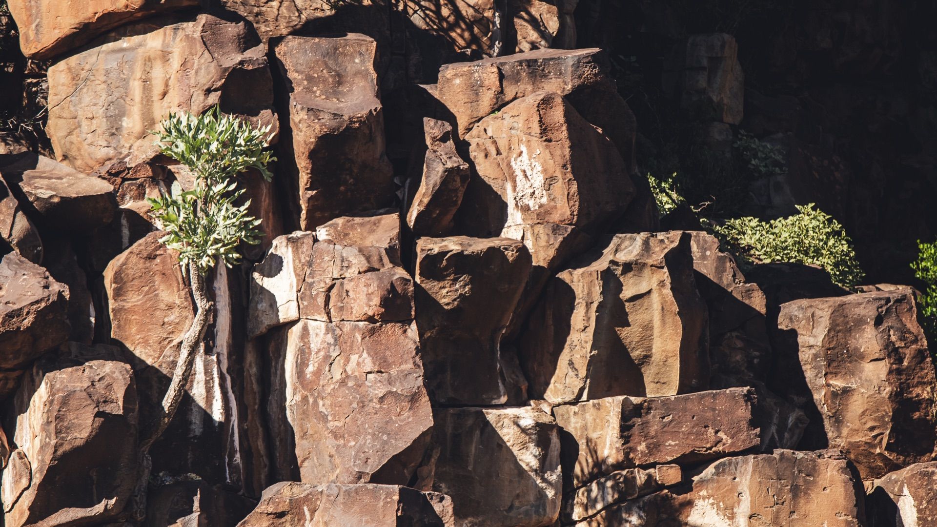 Rust-brown blocks of weathered dolerite on a Karoo hillside